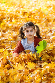 Hobby, fotografia, żółte jesienne liście